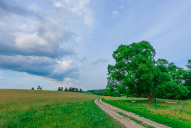 Similar image 18137383