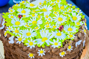 Similar image 18137827