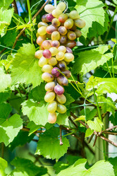 Similar image 18137852