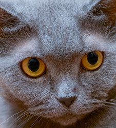 Similar image 18137896