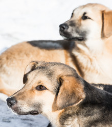 Similar image 18137897