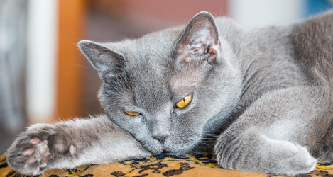 Similar image 18137914