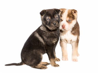 Similar image 18137916