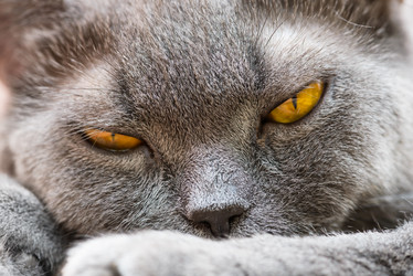 Similar image 18546600