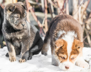 Similar image 18546625