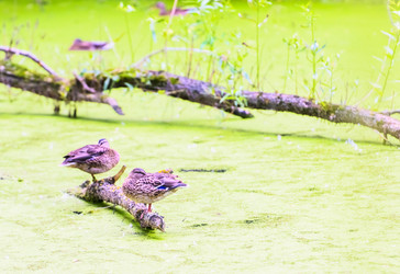 Similar image 18546644