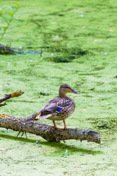 Similar image 18546885