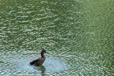 Similar image 18546905