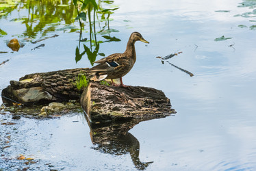 Similar image 18546923