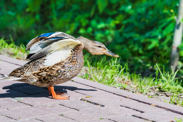 Similar image 18547283