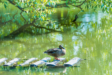 Similar image 18547319