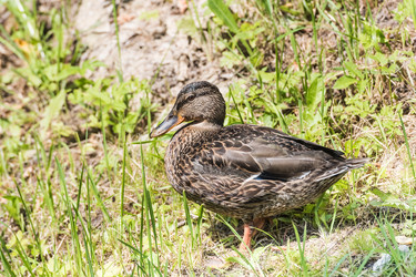 Similar image 18560992