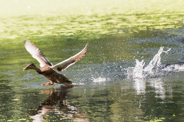 Similar image 18561072