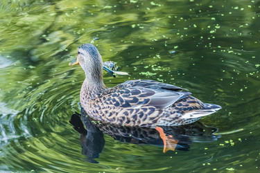 Similar image 18561132