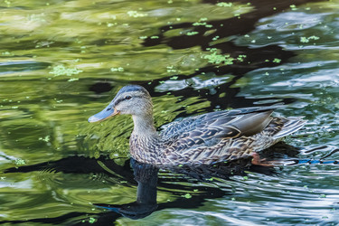 Similar image 18561116