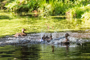 Similar image 18561190