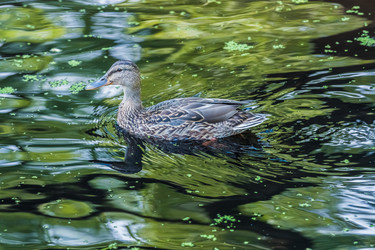 Similar image 18561270