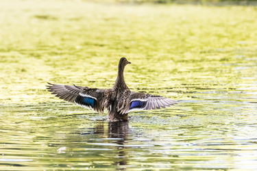 Similar image 18561282