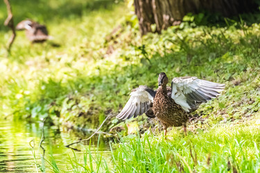 Similar image 18562767