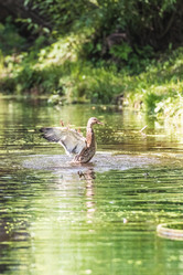 Similar image 18562766