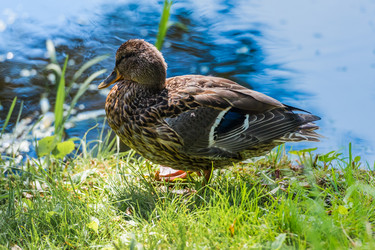 Similar image 18562768