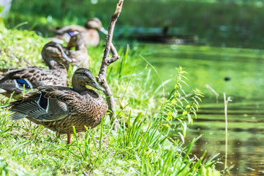 Similar image 18562772