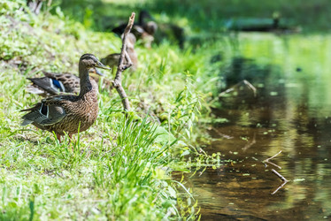 Similar image 18562806