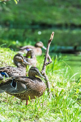 Similar image 18562811