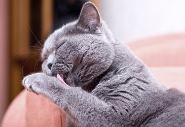 Similar image 18137245