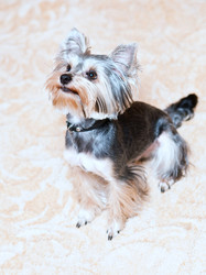 Similar image 18137257