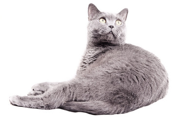 Similar image 18137263