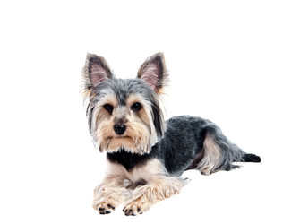 Similar image 18137266