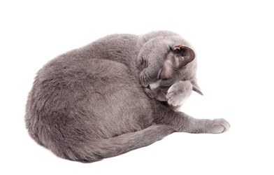 Similar image 18137261