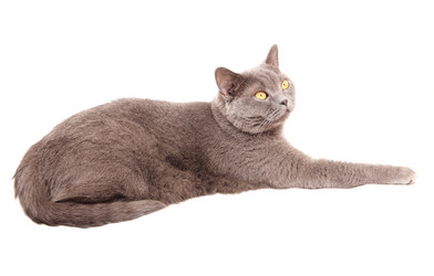 Similar image 18137270