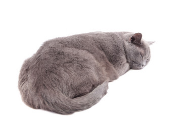 Similar image 18137273