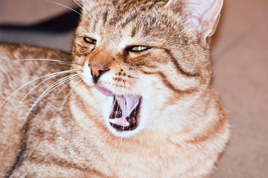 Similar image 18137308