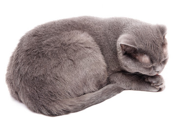 Similar image 18137314