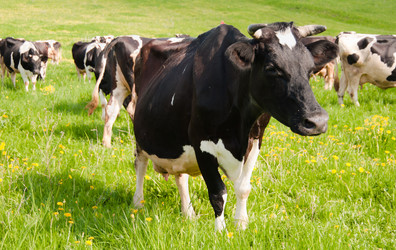 Similar image 18137315