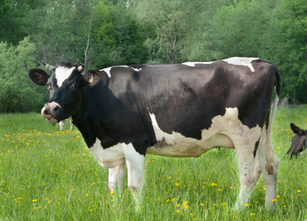 Similar image 18137322