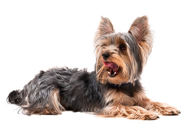 Similar image 18137324