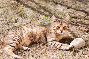 Similar image 18137338