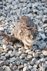 Similar image 18137386