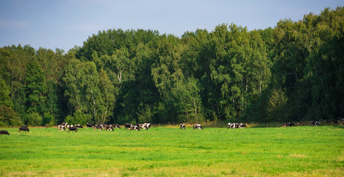 Similar image 18137482