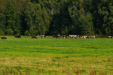 Similar image 18137484