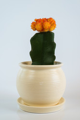 Similar image 18510138