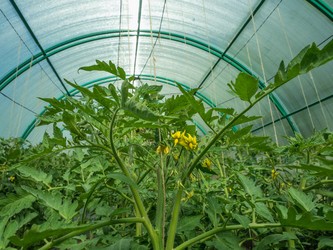 Similar image 18508614