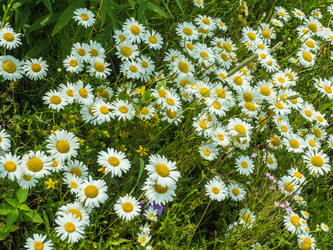 Similar image 18508615