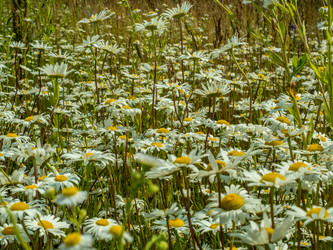 Similar image 18508616