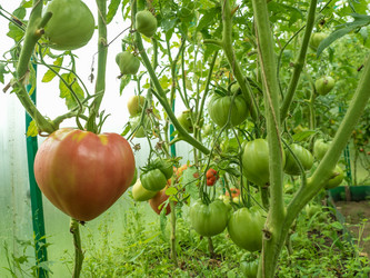 Similar image 18508617