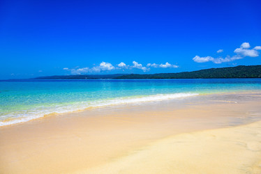 Similar image 18570601